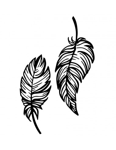 'Plumas' x2